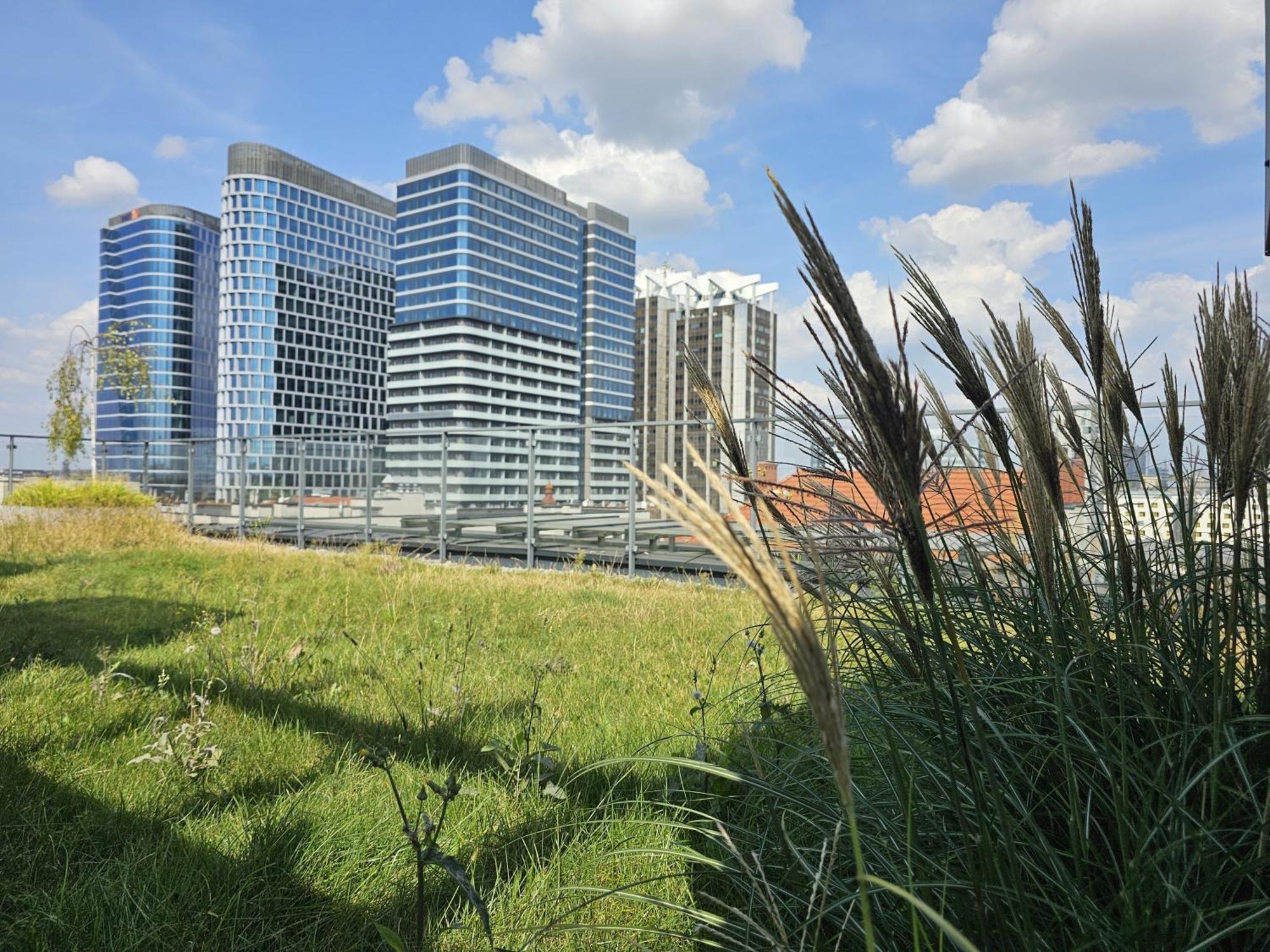 Urban Apartments Premium, Opolska 10 No 77B, Free Garage, Self Check-In Katoviçe Dış mekan fotoğraf